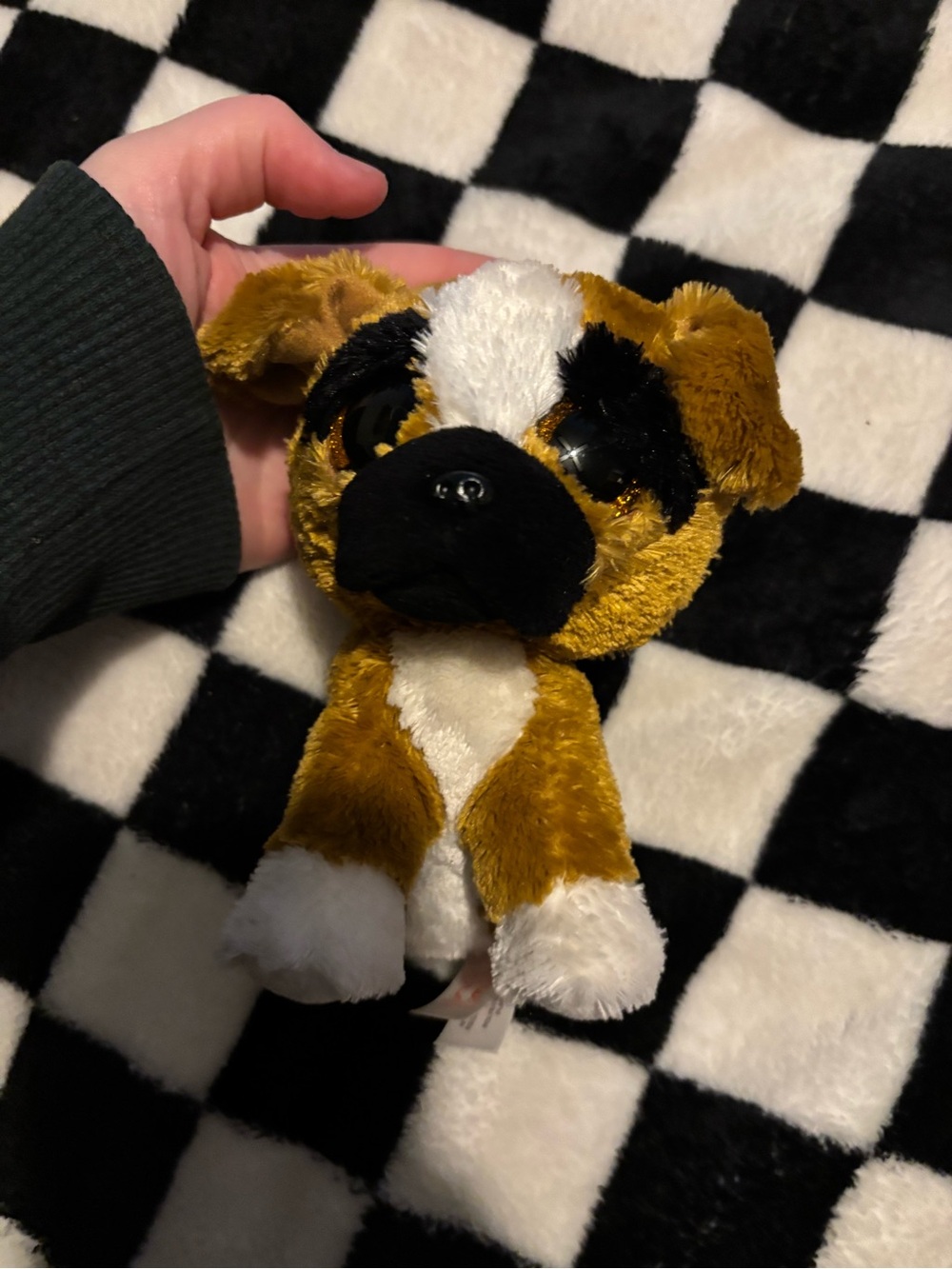 Brutus the Boxer, a retired Ty Beanie Boo